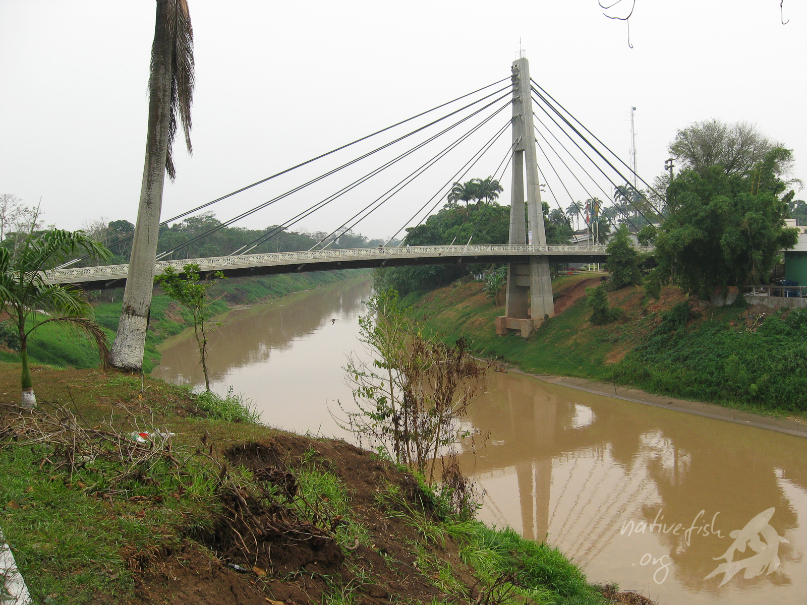 Brücke über den Rio Acre
